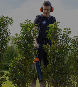 tuinmachines-reinigen-en-opruimen Tuinmachines voor het reinigen en opruimen